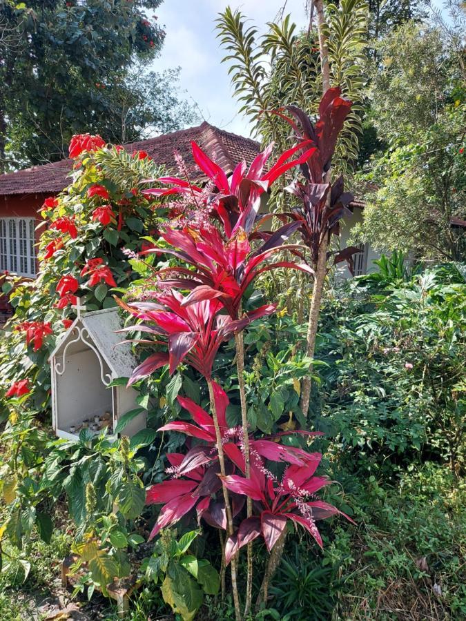 Robin Woods Homestay Sakleshpur Luaran gambar