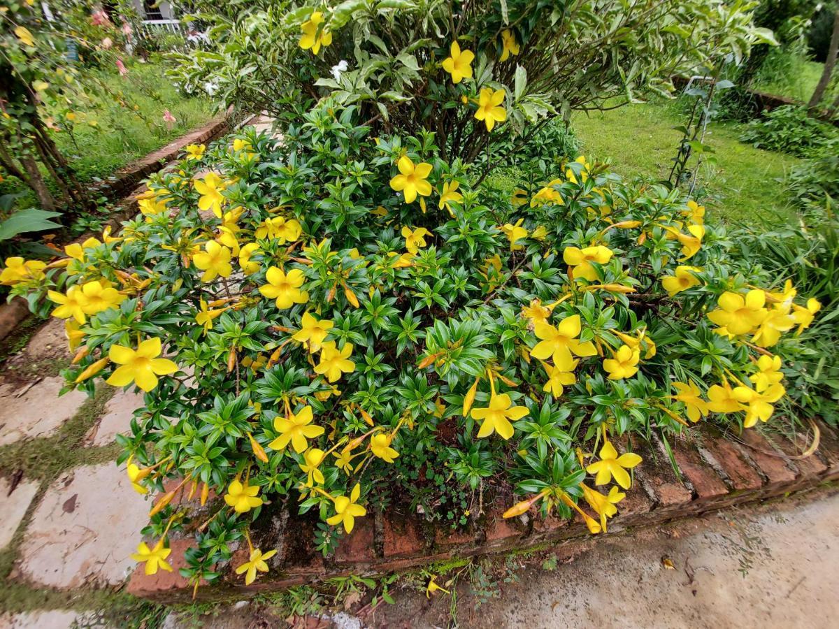 Robin Woods Homestay Sakleshpur Luaran gambar