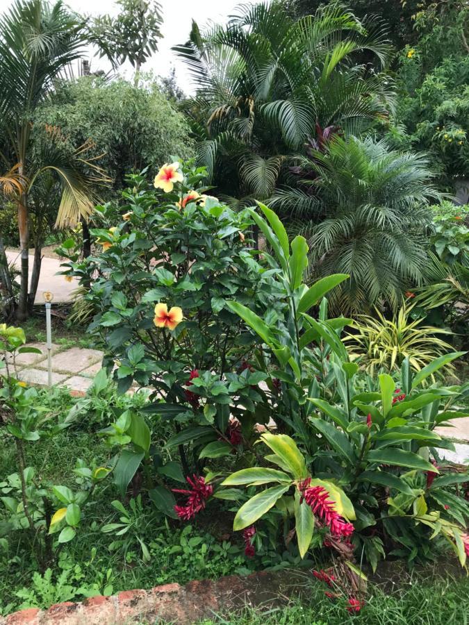 Robin Woods Homestay Sakleshpur Luaran gambar