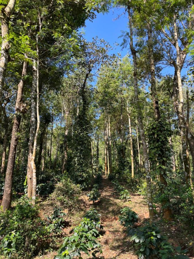 Robin Woods Homestay Sakleshpur Luaran gambar
